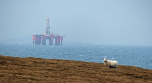 Oil rig and sheep